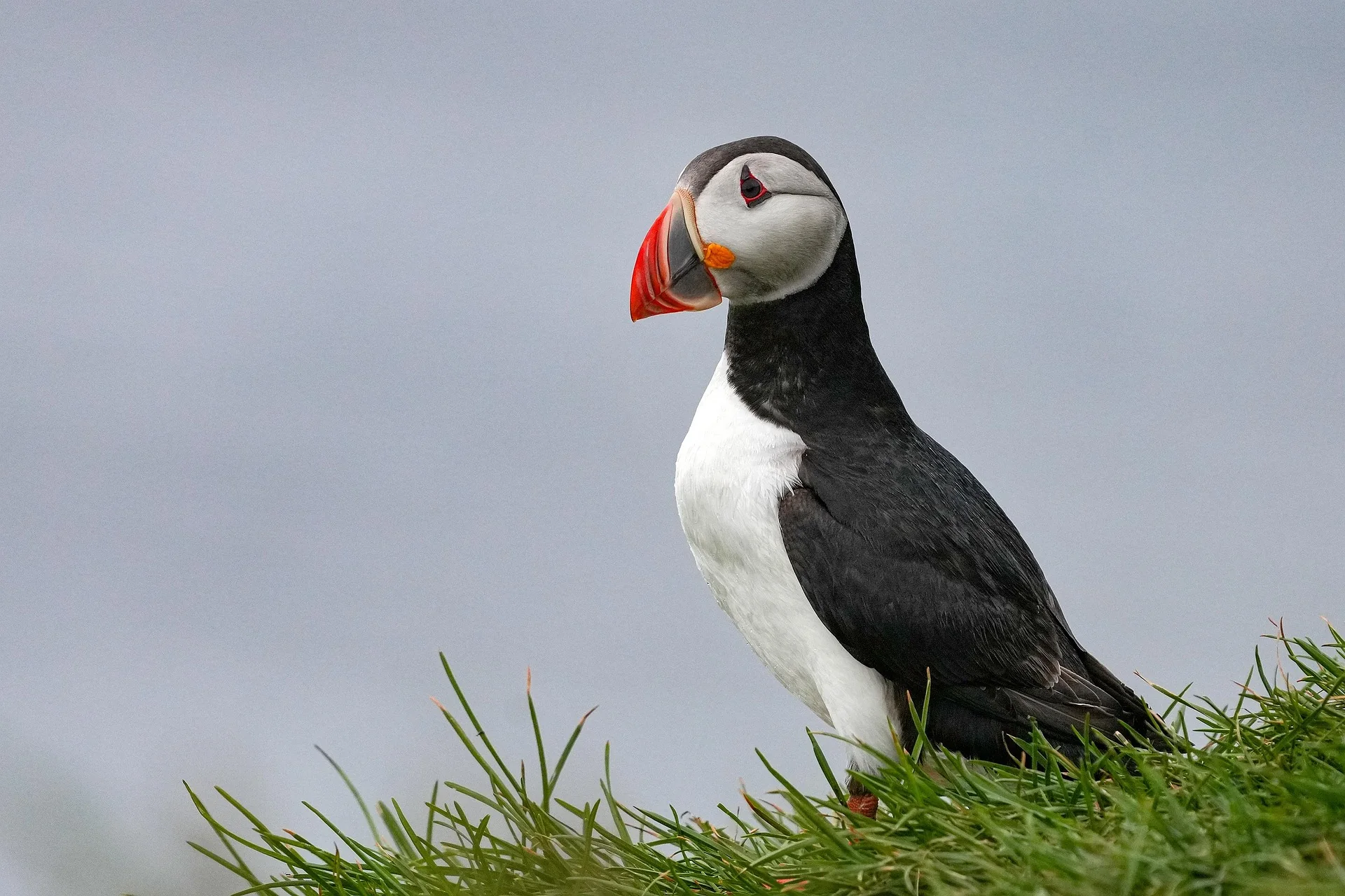 Voyage de luxe en Islande – étape 5 du voyage Voyage de luxe en Islande – étape 5 du voyage
