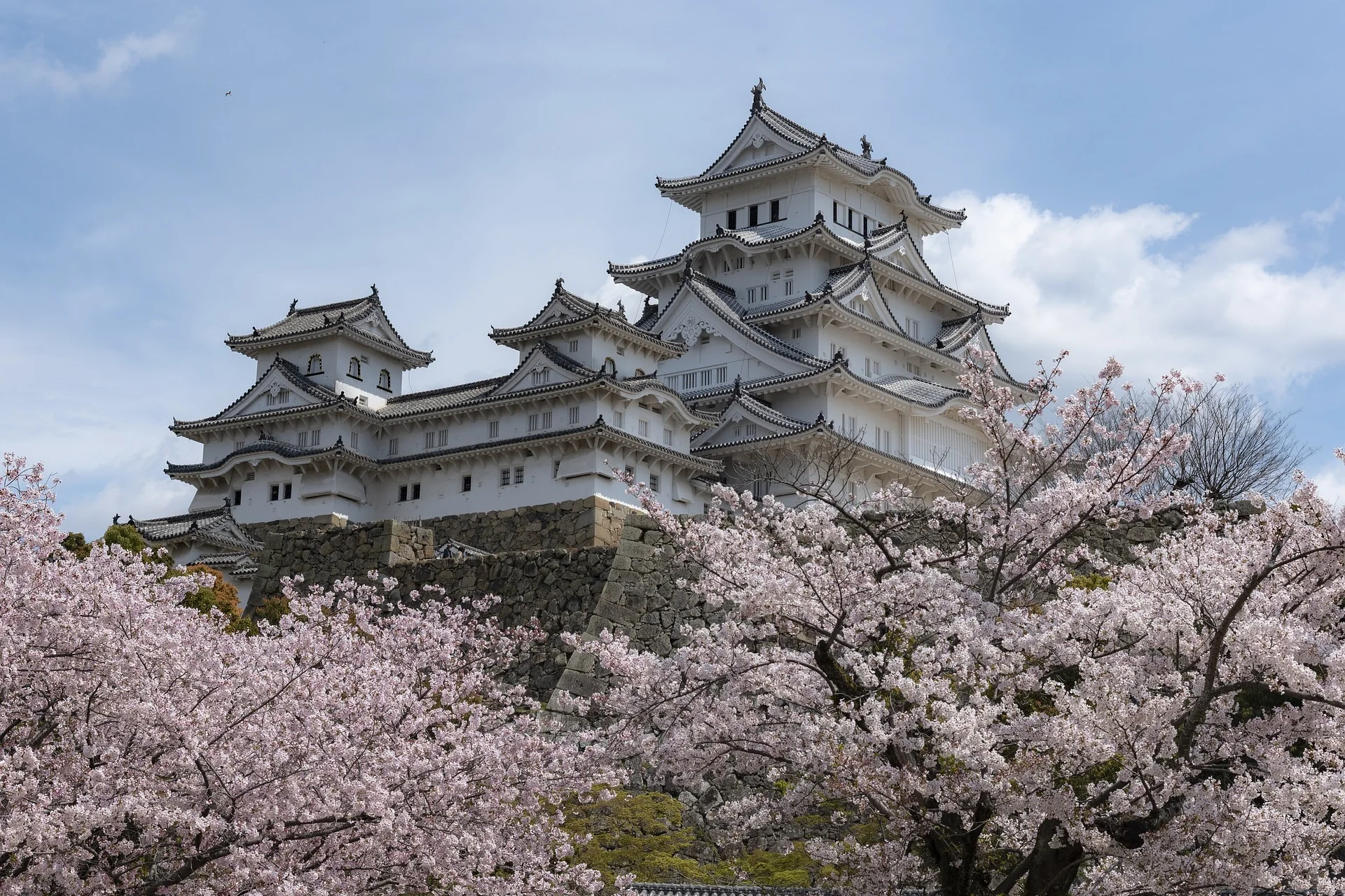 Japon