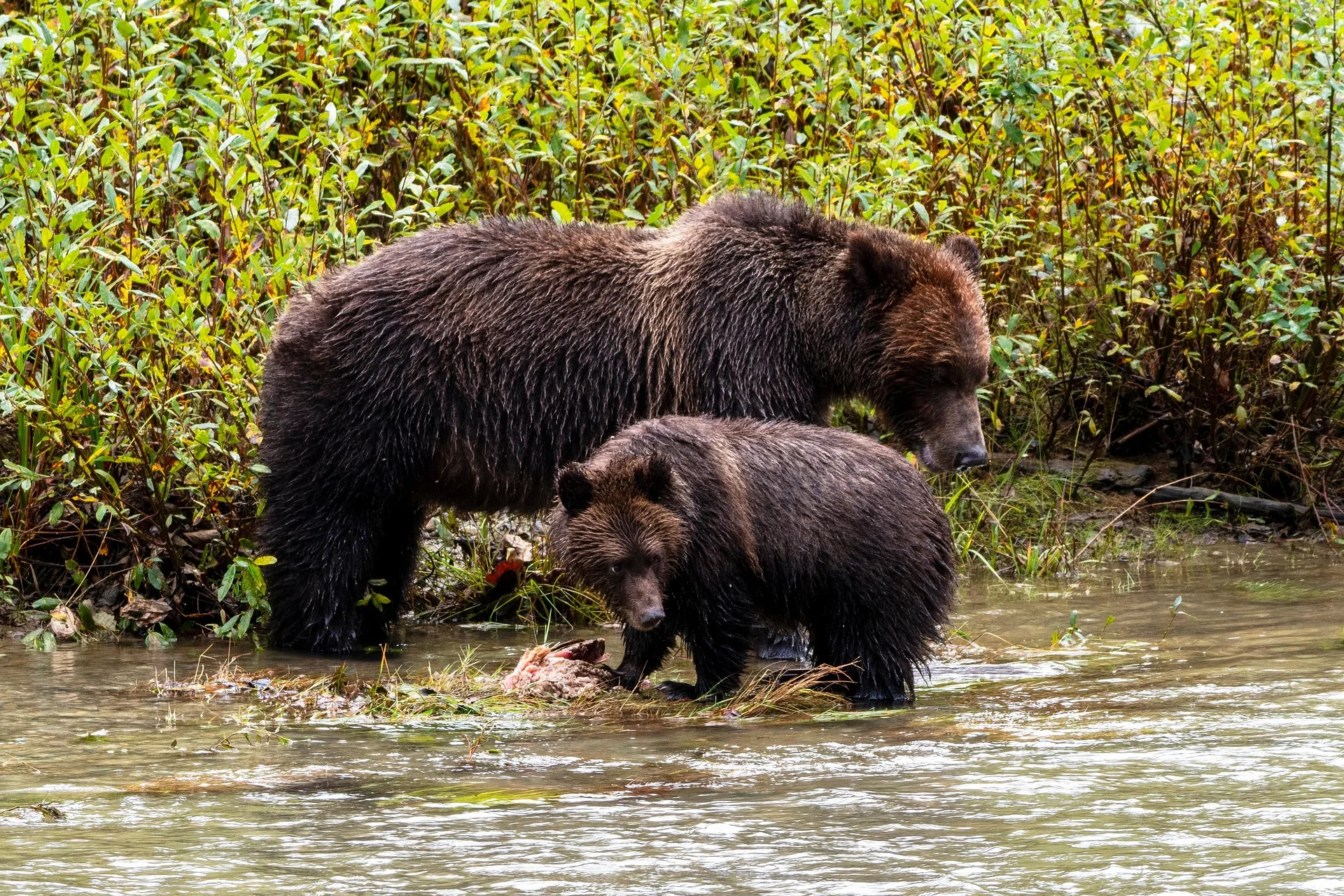 Luxusrundreise Kanada – ausgewählte Reiseimpression 2