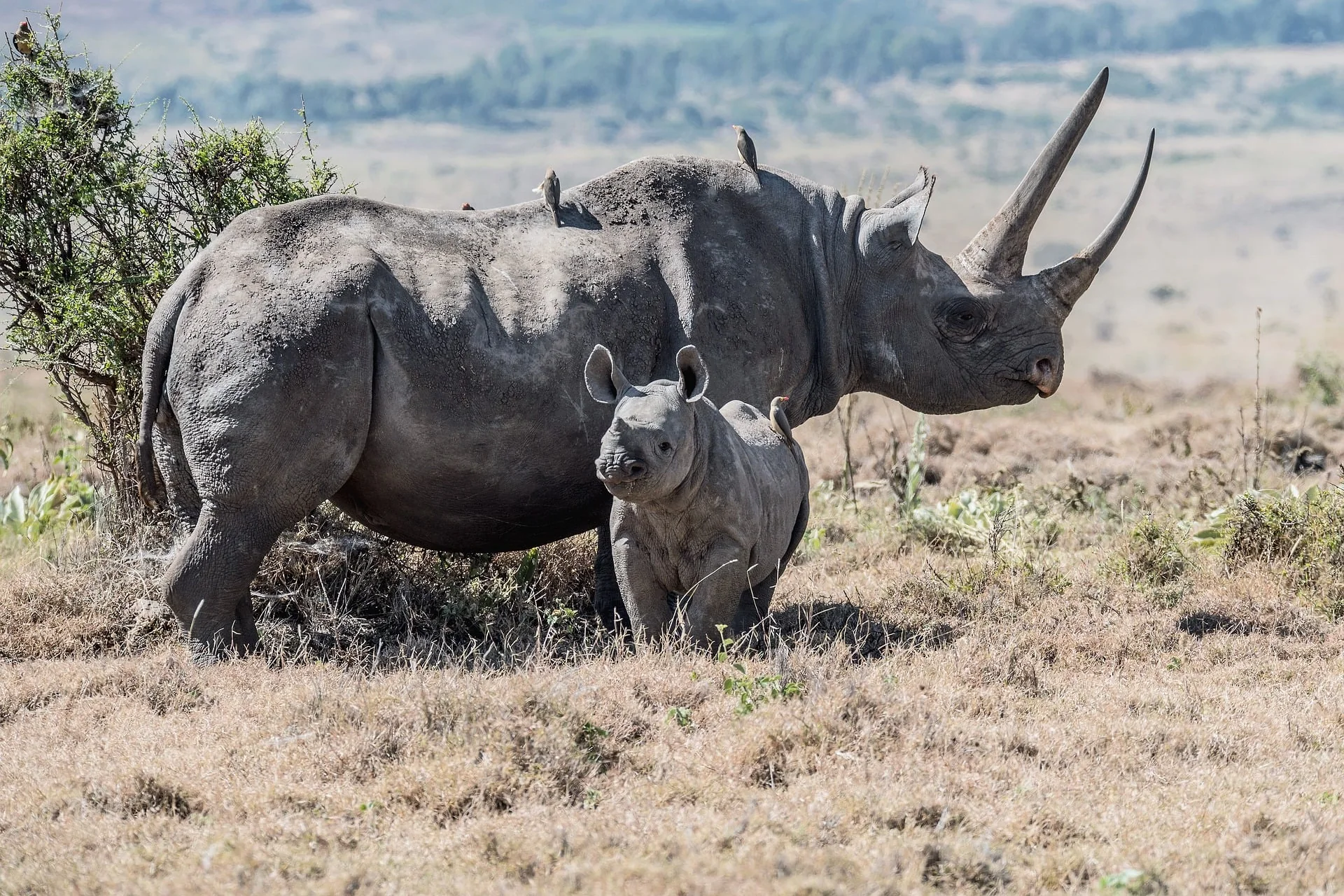 Luxusreise Kenia – ausgewählte Reiseimpression 4