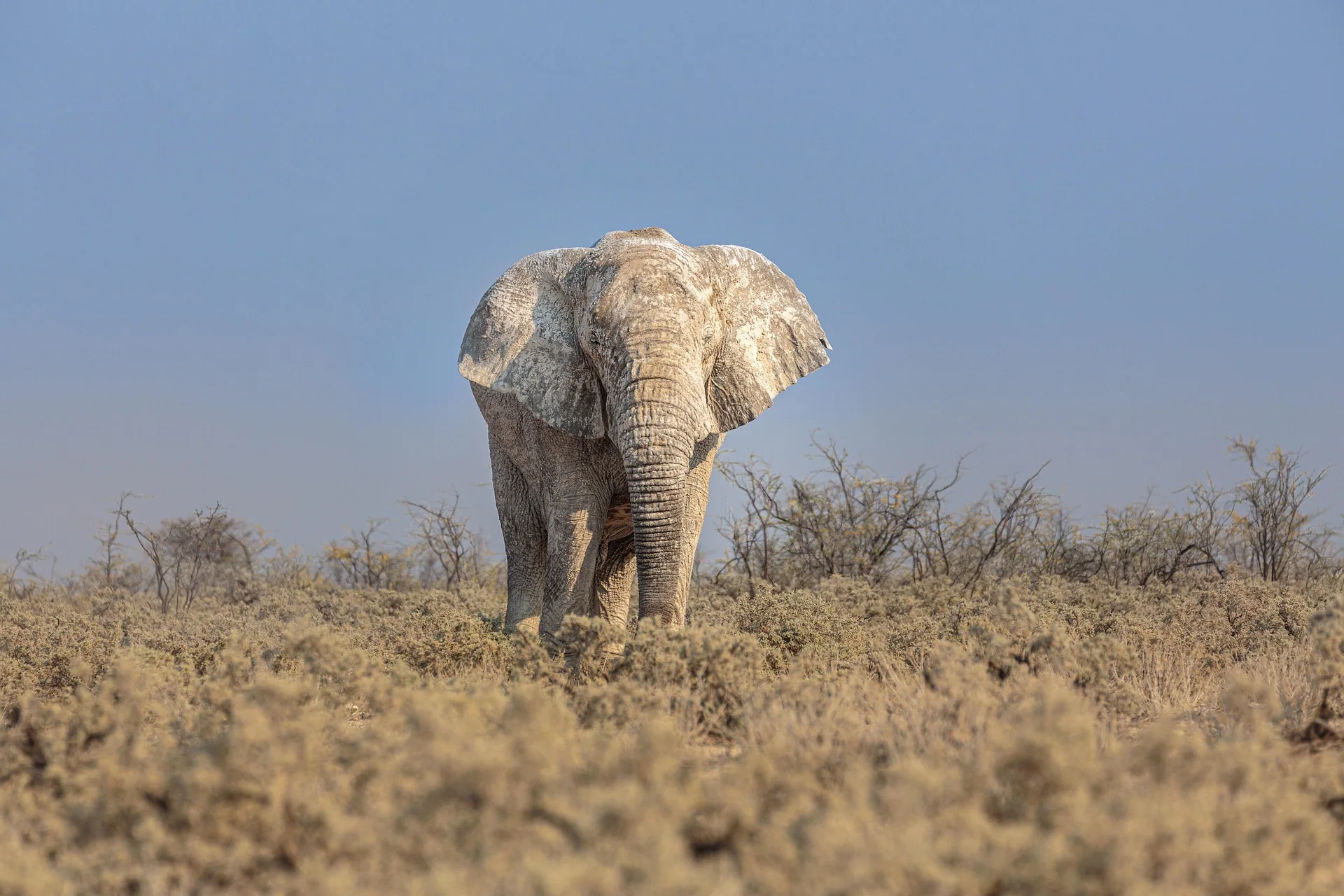 Luxusreise Namibia – ausgewählte Reiseimpression 3