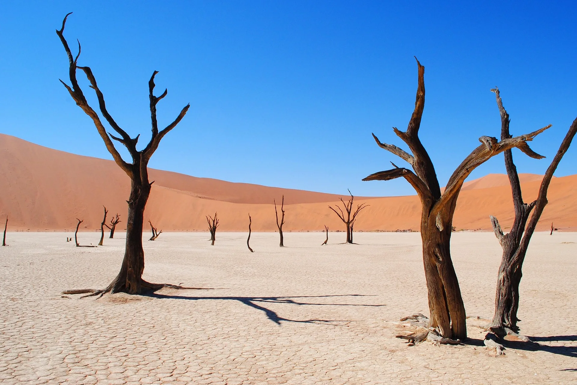 Namibie