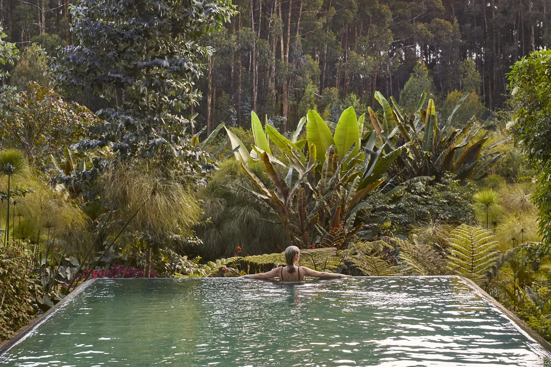 Luxury tour of Rwanda – selected journey view 5