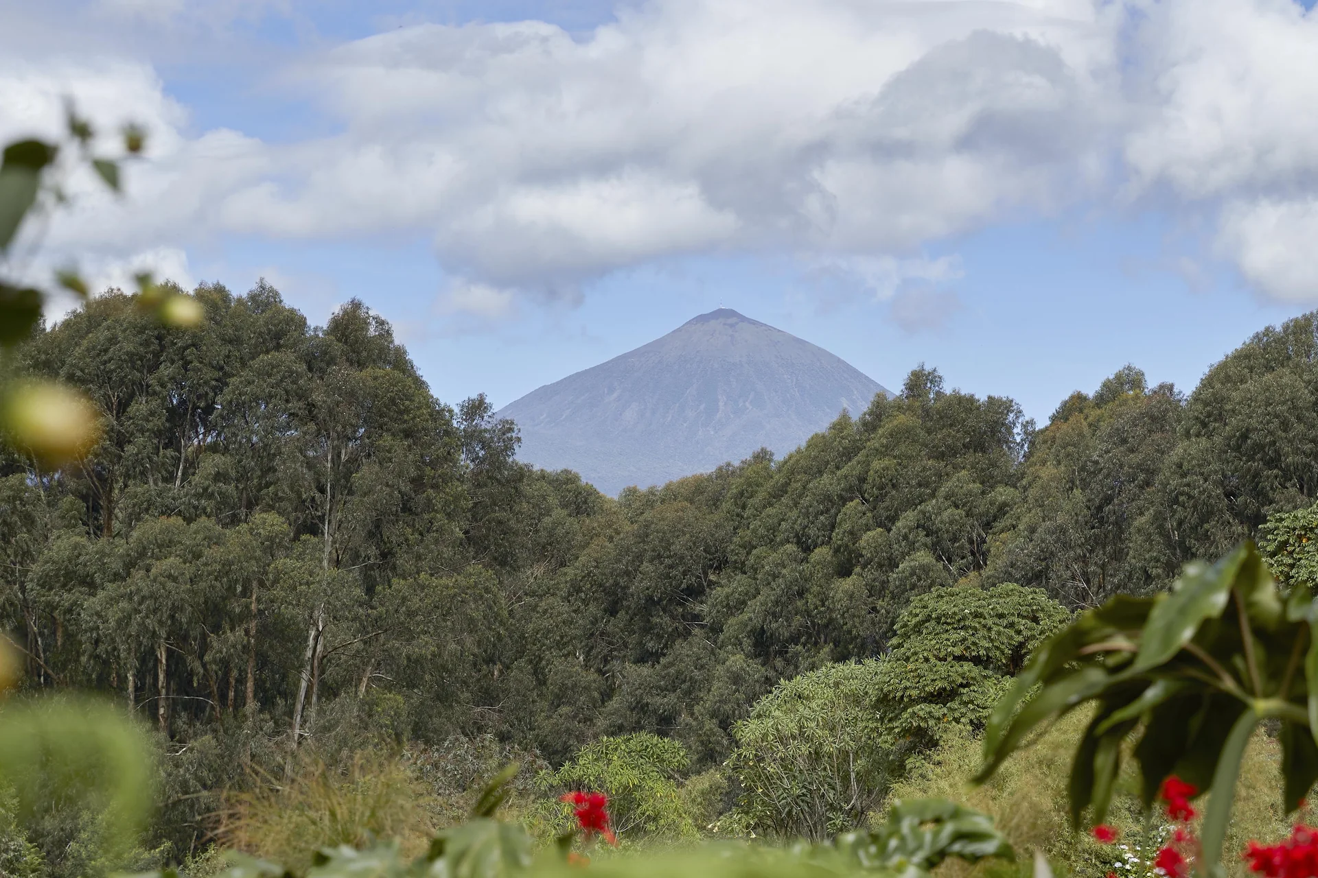 Luxury tour of Rwanda – selected journey view 4