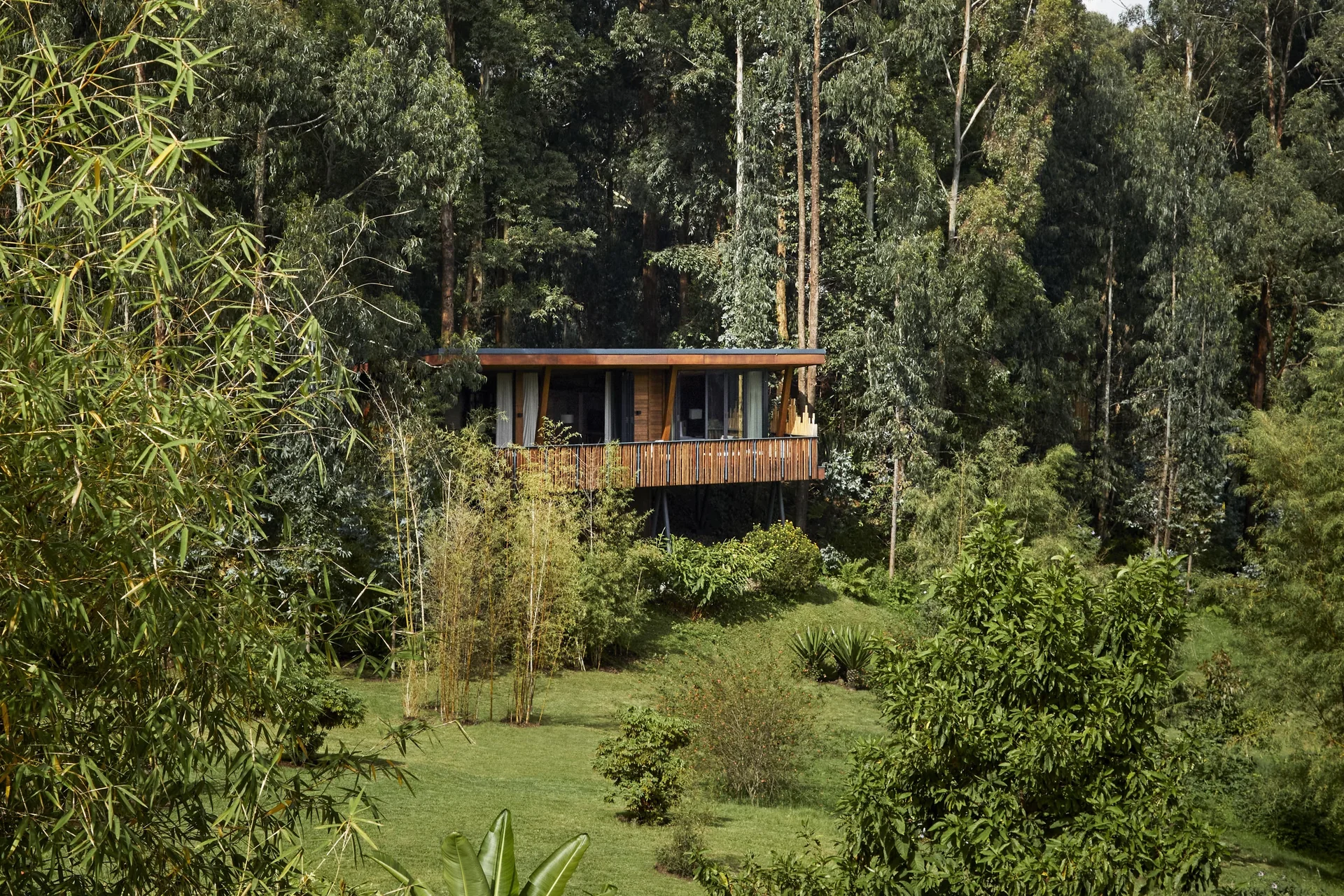 Luxury tour of Rwanda – selected journey view 3