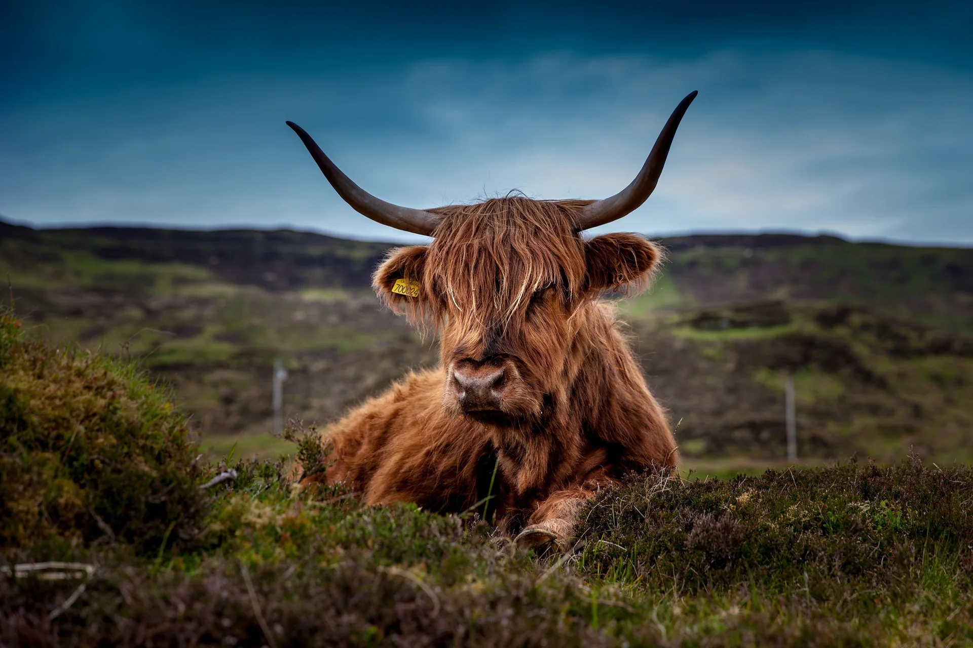 Luxusreise Schottland – ausgewählte Reiseimpression 4