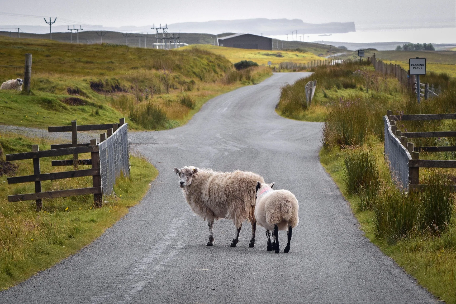 Luxusreise Schottland – ausgewählte Reiseimpression 7