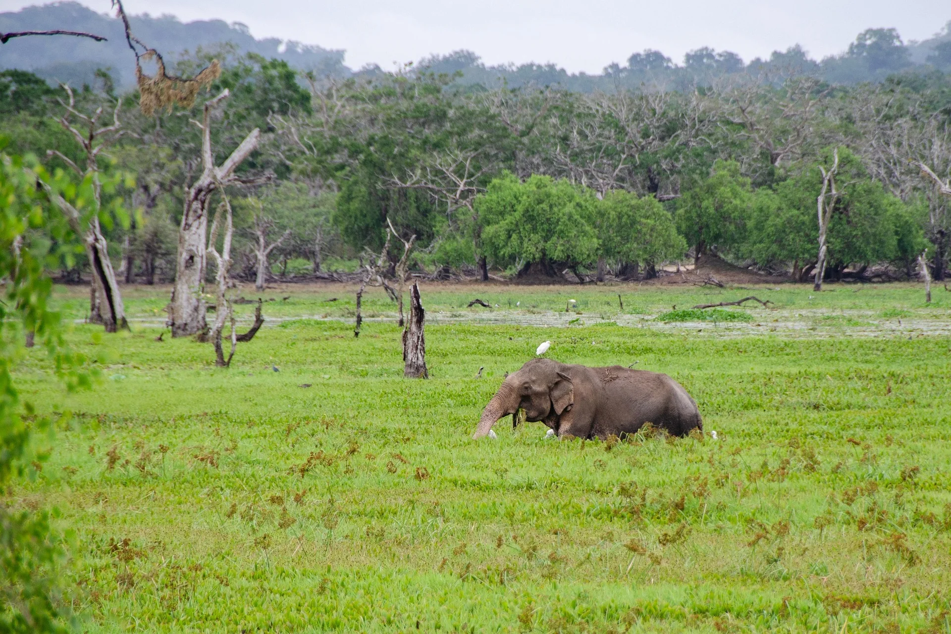 Luxusreise Sri Lanka – ausgewählte Reiseimpression 7