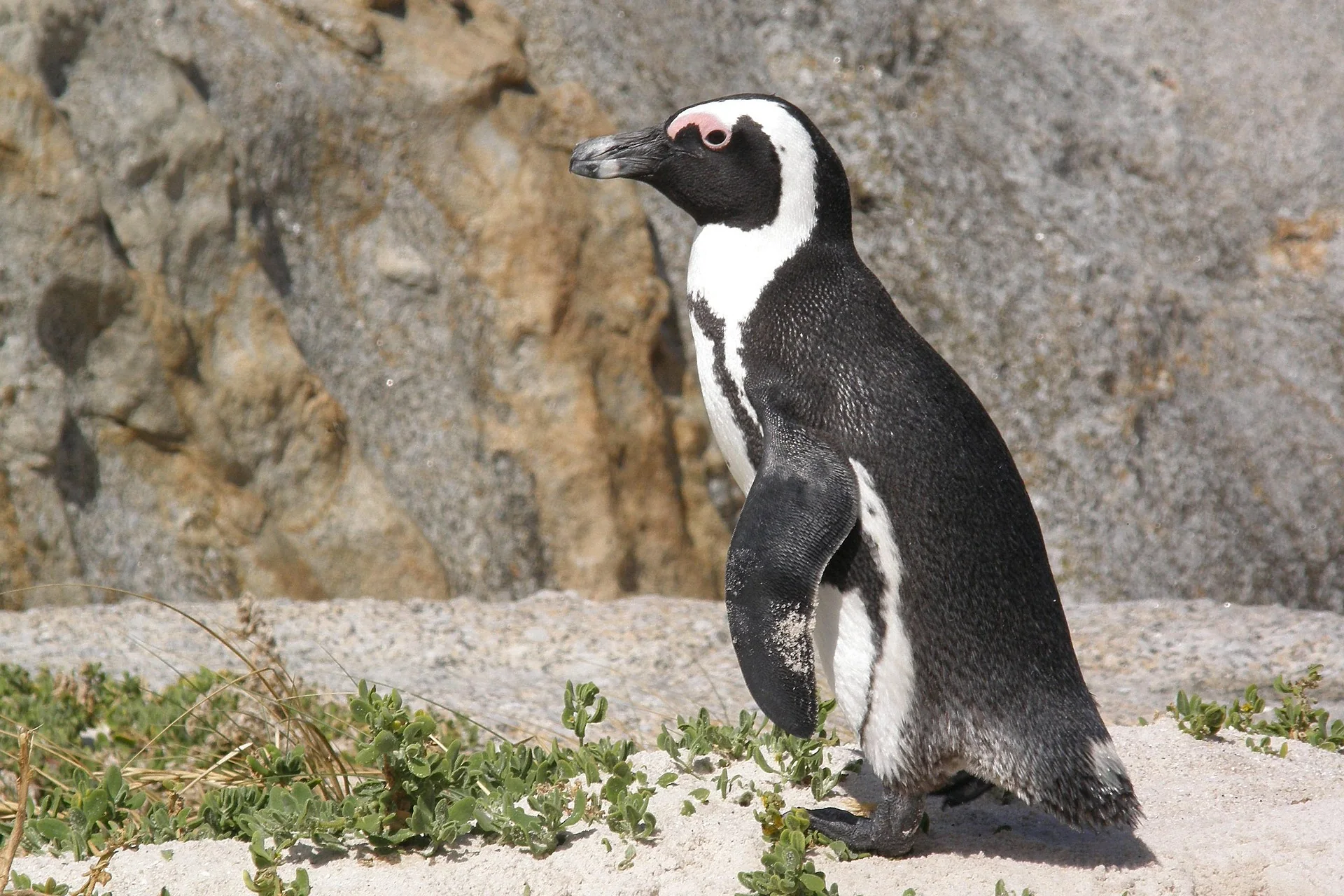 Luxury tour of South Africa – selected journey view 4