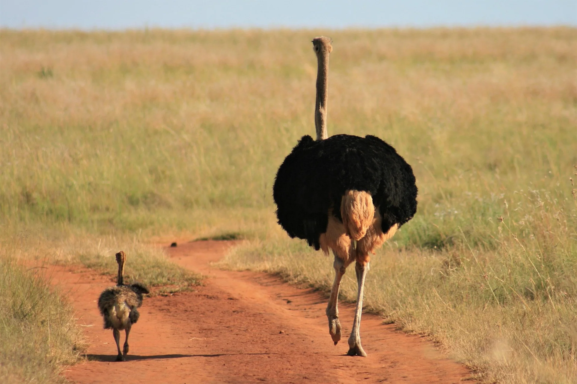 Luxury tour of South Africa – selected journey view 7
